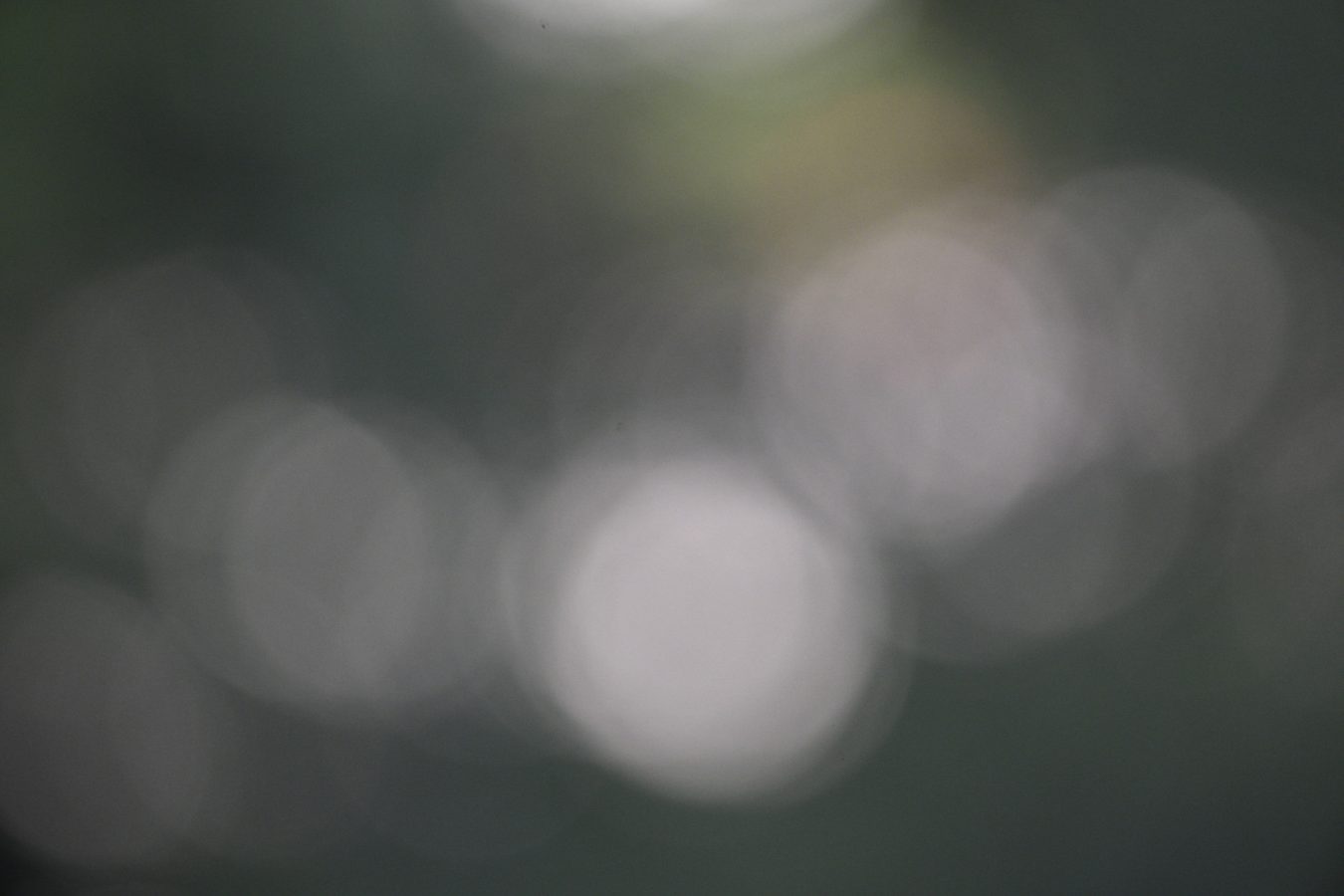 Bokeh 1